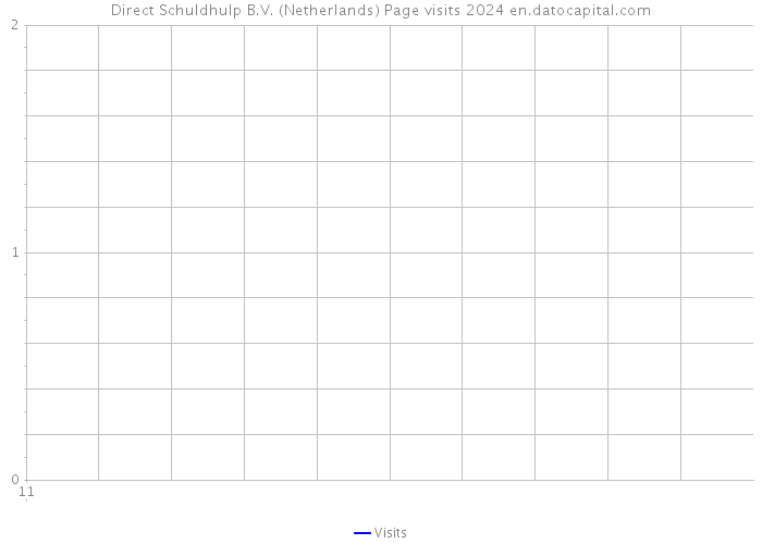 Direct Schuldhulp B.V. (Netherlands) Page visits 2024 