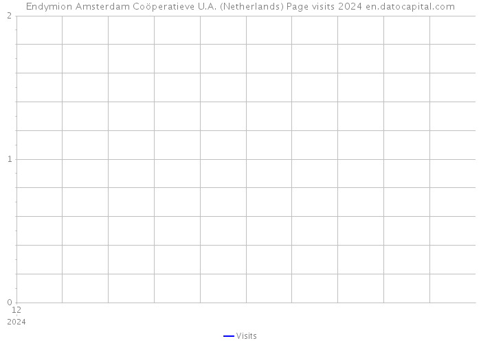 Endymion Amsterdam Coöperatieve U.A. (Netherlands) Page visits 2024 