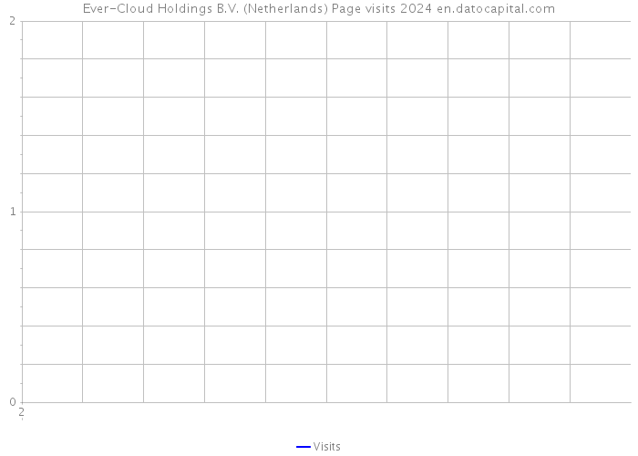 Ever-Cloud Holdings B.V. (Netherlands) Page visits 2024 