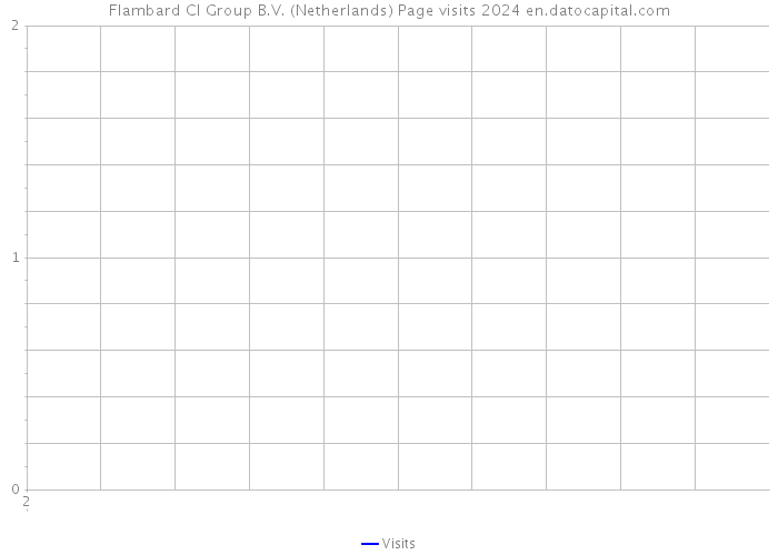 Flambard CI Group B.V. (Netherlands) Page visits 2024 