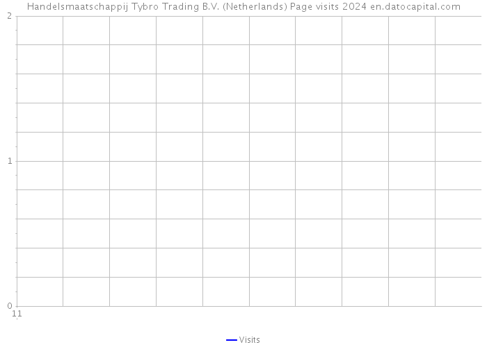 Handelsmaatschappij Tybro Trading B.V. (Netherlands) Page visits 2024 