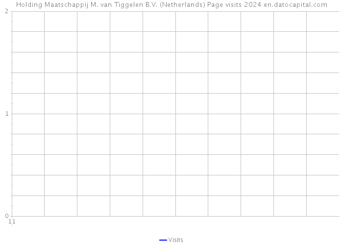 Holding Maatschappij M. van Tiggelen B.V. (Netherlands) Page visits 2024 