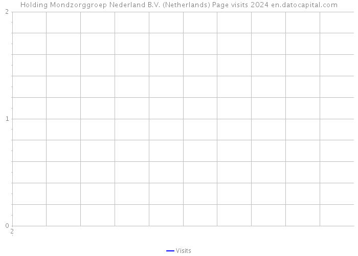 Holding Mondzorggroep Nederland B.V. (Netherlands) Page visits 2024 