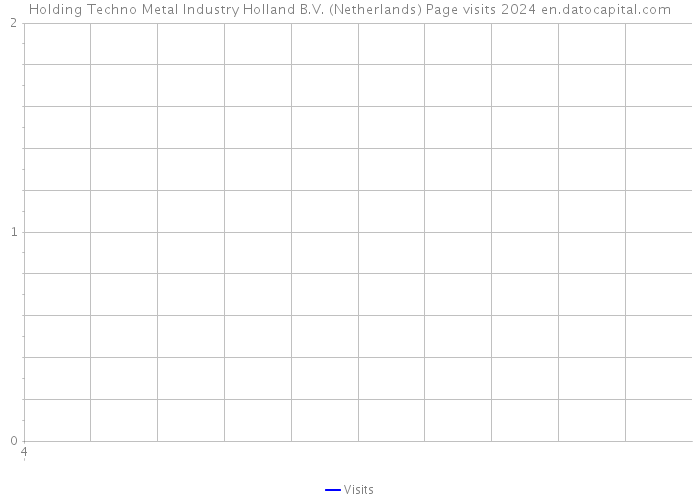 Holding Techno Metal Industry Holland B.V. (Netherlands) Page visits 2024 