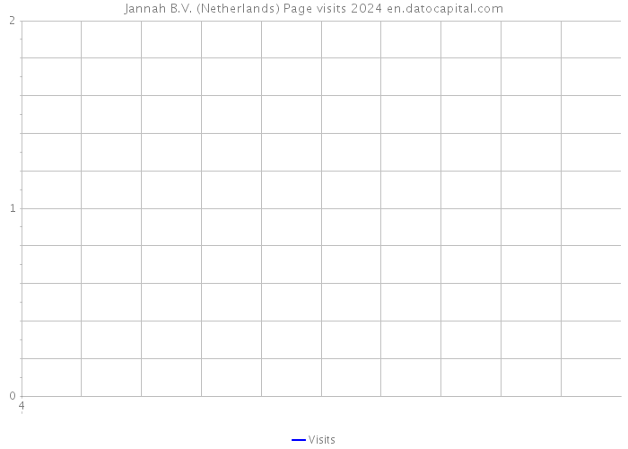 Jannah B.V. (Netherlands) Page visits 2024 