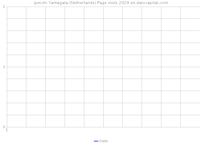 Junichi Yamagata (Netherlands) Page visits 2024 