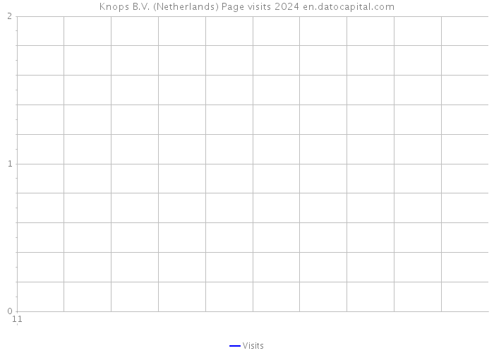 Knops B.V. (Netherlands) Page visits 2024 