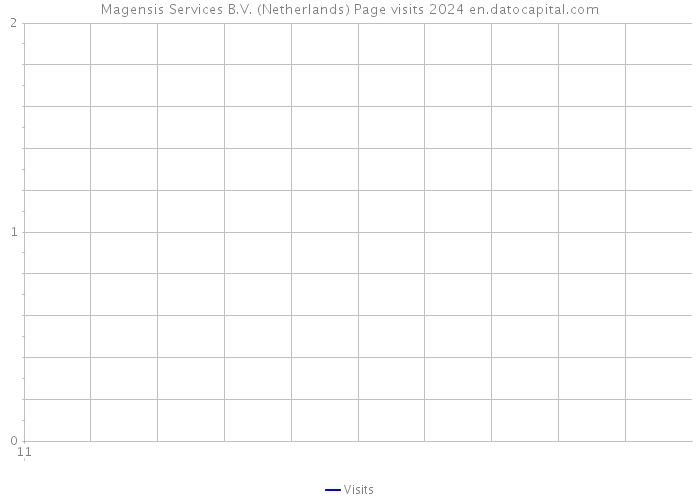 Magensis Services B.V. (Netherlands) Page visits 2024 