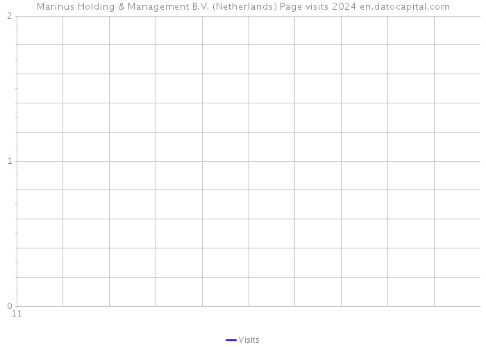 Marinus Holding & Management B.V. (Netherlands) Page visits 2024 