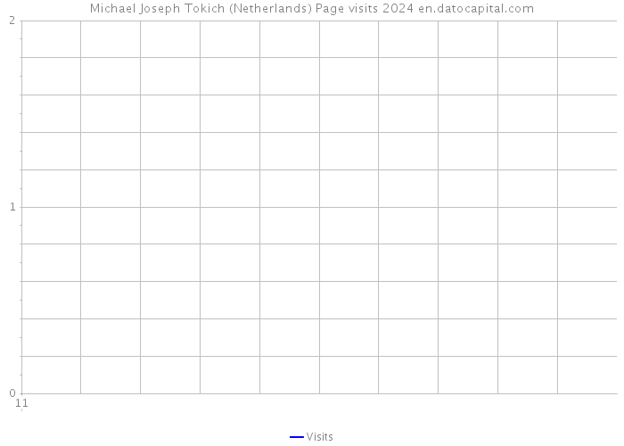 Michael Joseph Tokich (Netherlands) Page visits 2024 
