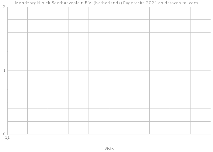 Mondzorgkliniek Boerhaaveplein B.V. (Netherlands) Page visits 2024 