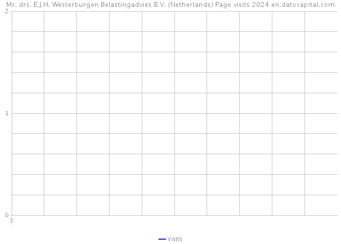 Mr. drs. E.J.H. Westerburgen Belastingadvies B.V. (Netherlands) Page visits 2024 
