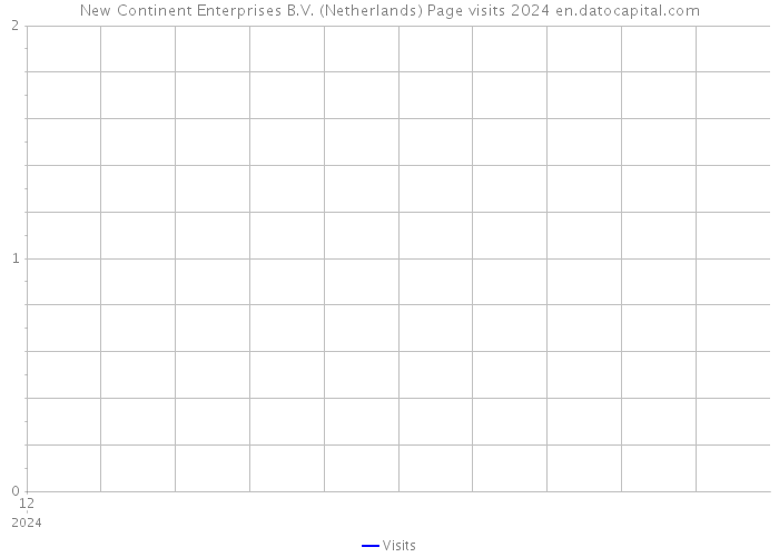 New Continent Enterprises B.V. (Netherlands) Page visits 2024 