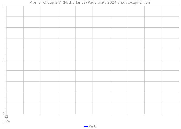 Pionier Group B.V. (Netherlands) Page visits 2024 