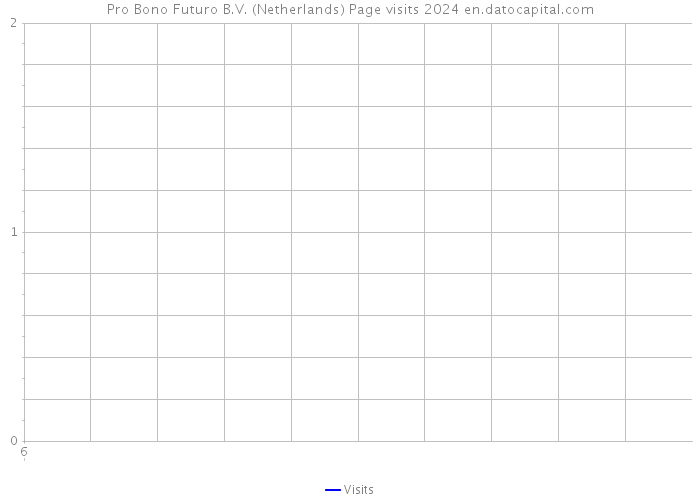 Pro Bono Futuro B.V. (Netherlands) Page visits 2024 
