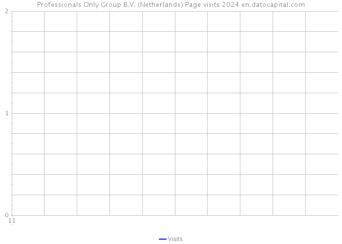 Professionals Only Group B.V. (Netherlands) Page visits 2024 