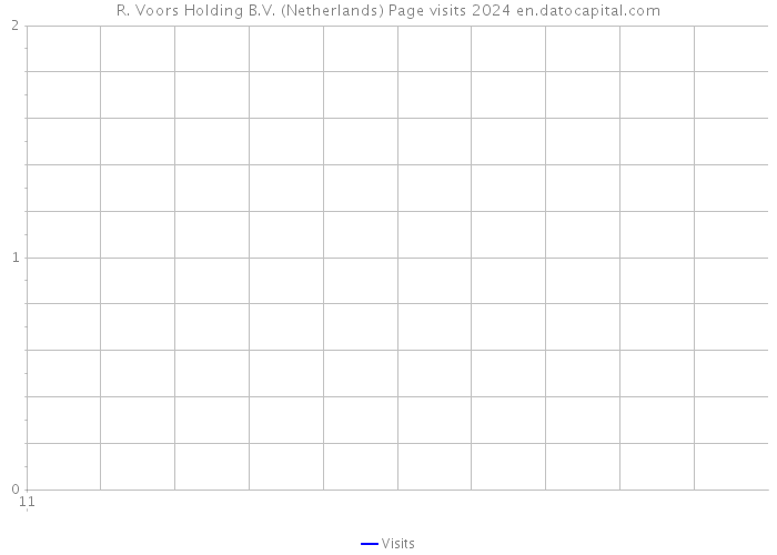 R. Voors Holding B.V. (Netherlands) Page visits 2024 
