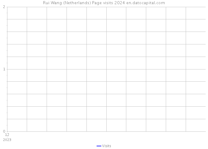 Rui Wang (Netherlands) Page visits 2024 