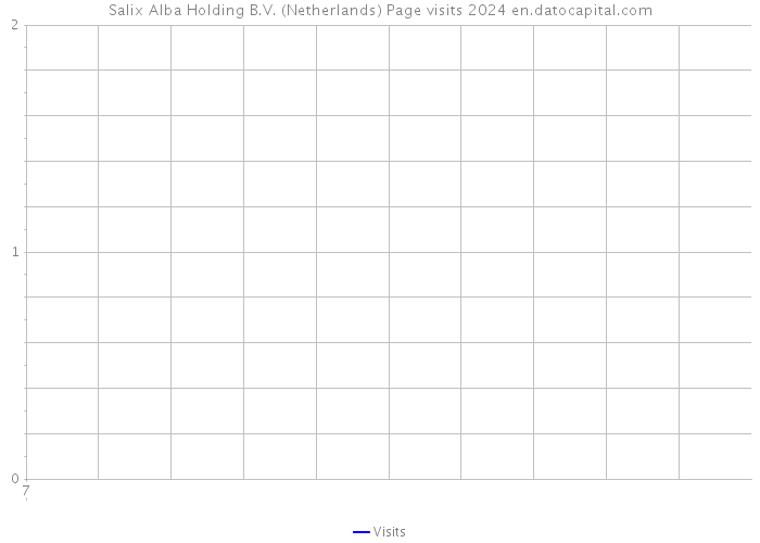 Salix Alba Holding B.V. (Netherlands) Page visits 2024 