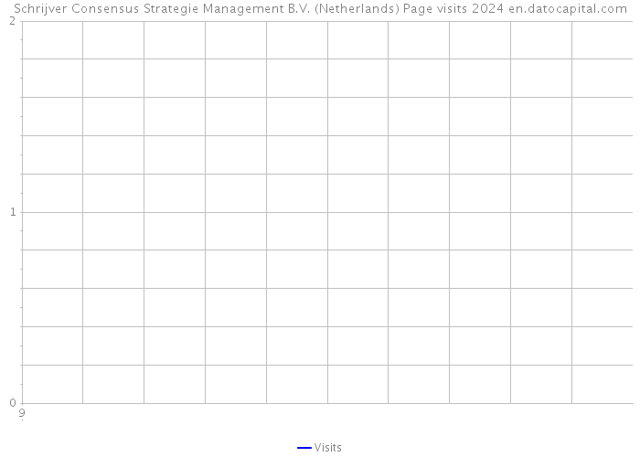 Schrijver Consensus Strategie Management B.V. (Netherlands) Page visits 2024 