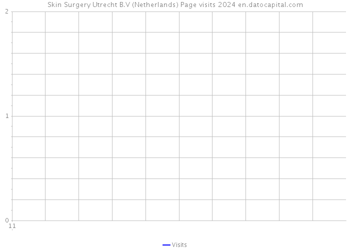 Skin Surgery Utrecht B.V (Netherlands) Page visits 2024 