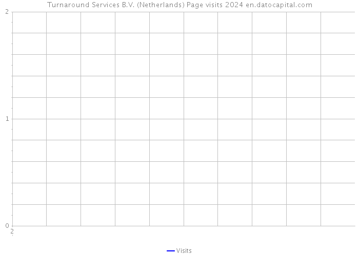Turnaround Services B.V. (Netherlands) Page visits 2024 