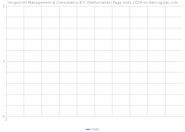 Vergezicht Management & Consultancy B.V. (Netherlands) Page visits 2024 