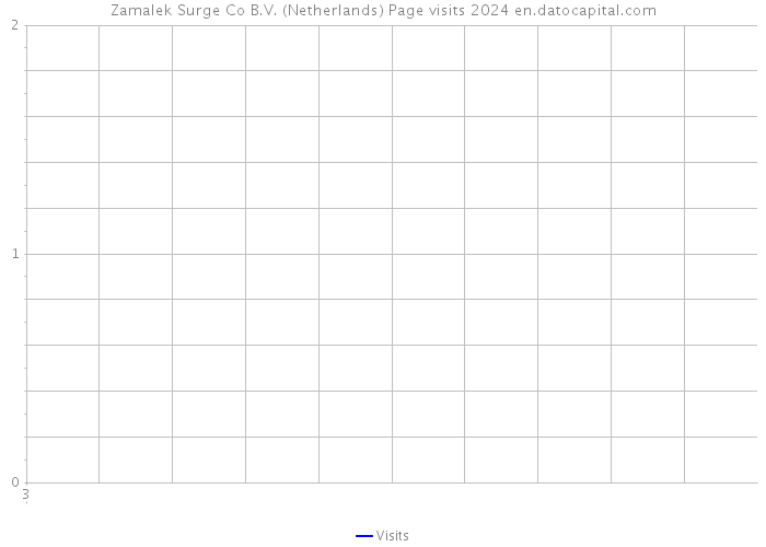 Zamalek Surge Co B.V. (Netherlands) Page visits 2024 