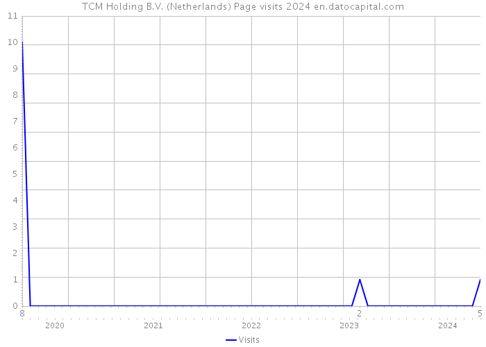 TCM Holding B.V. (Netherlands) Page visits 2024 