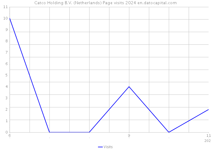 Catco Holding B.V. (Netherlands) Page visits 2024 