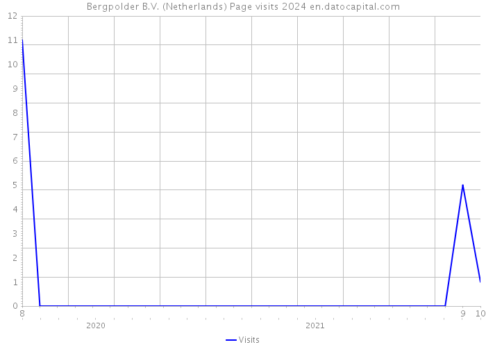 Bergpolder B.V. (Netherlands) Page visits 2024 