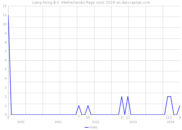 Liang Hong B.V. (Netherlands) Page visits 2024 