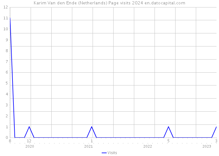 Karim Van den Ende (Netherlands) Page visits 2024 