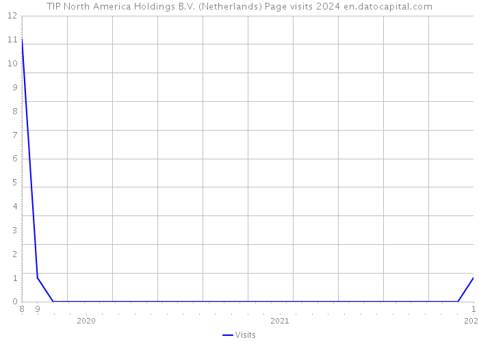 TIP North America Holdings B.V. (Netherlands) Page visits 2024 