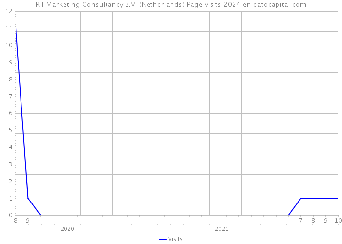 RT Marketing Consultancy B.V. (Netherlands) Page visits 2024 