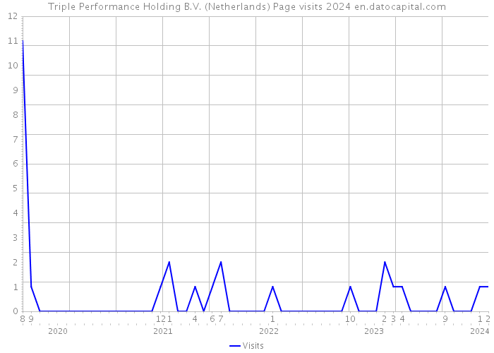 Triple Performance Holding B.V. (Netherlands) Page visits 2024 