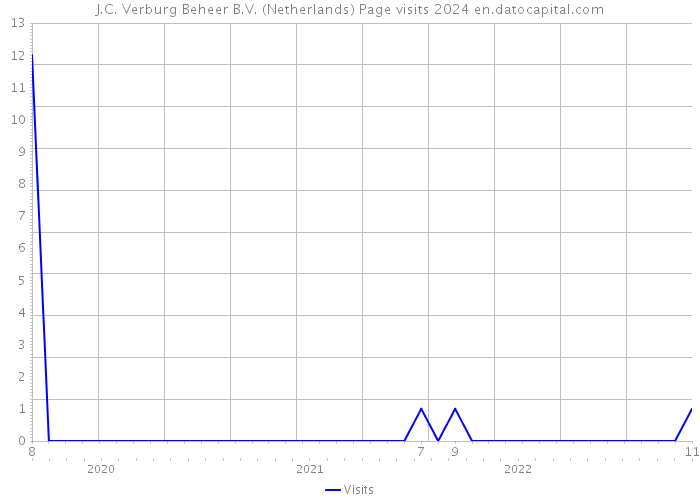 J.C. Verburg Beheer B.V. (Netherlands) Page visits 2024 