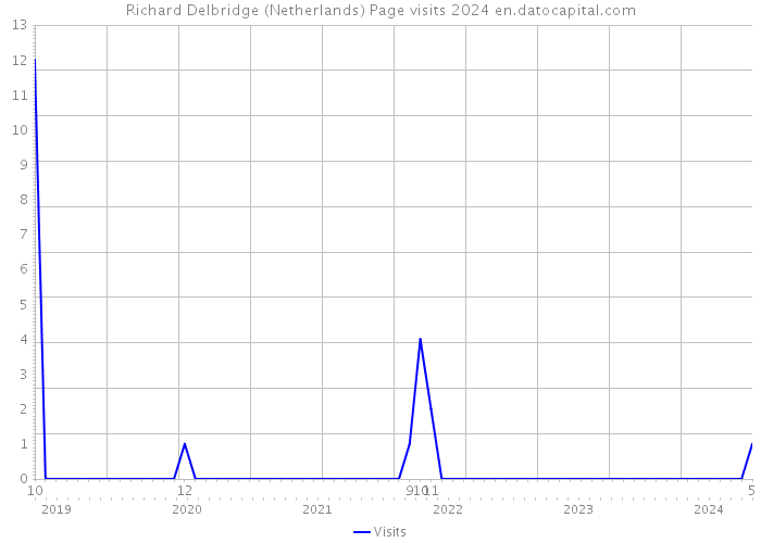 Richard Delbridge (Netherlands) Page visits 2024 