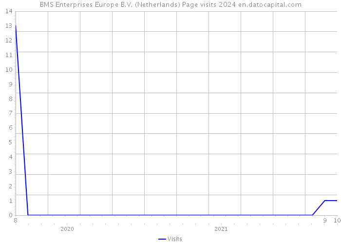 BMS Enterprises Europe B.V. (Netherlands) Page visits 2024 
