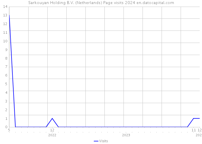 Sarkouyan Holding B.V. (Netherlands) Page visits 2024 