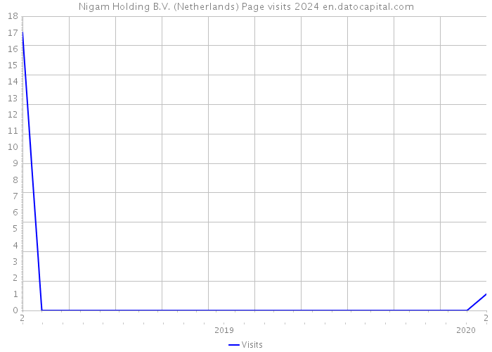 Nigam Holding B.V. (Netherlands) Page visits 2024 