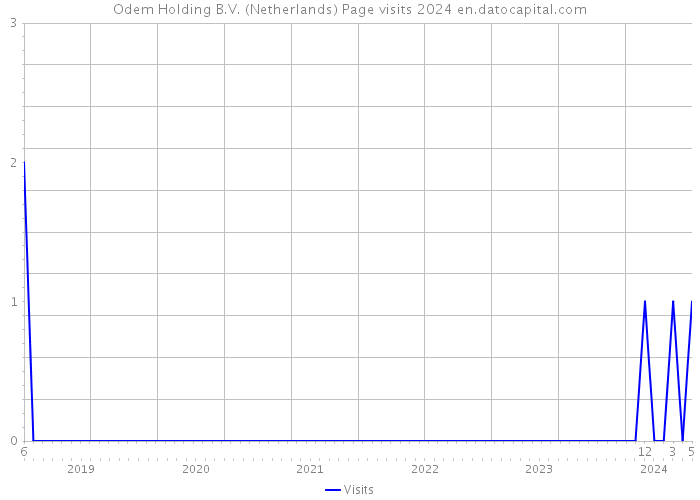 Odem Holding B.V. (Netherlands) Page visits 2024 