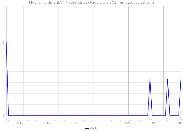Moove Holding B.V. (Netherlands) Page visits 2024 