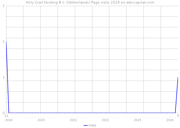 Holy Grail Holding B.V. (Netherlands) Page visits 2024 