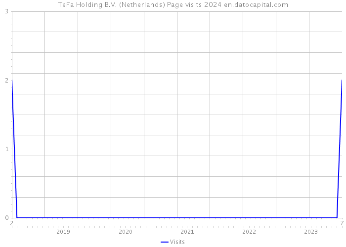TeFa Holding B.V. (Netherlands) Page visits 2024 