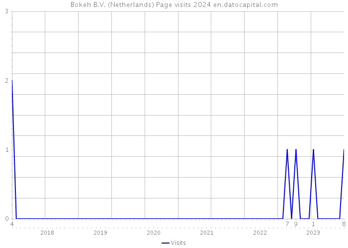 Bokeh B.V. (Netherlands) Page visits 2024 