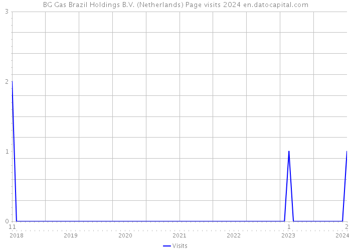 BG Gas Brazil Holdings B.V. (Netherlands) Page visits 2024 