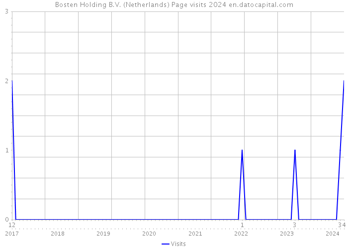 Bosten Holding B.V. (Netherlands) Page visits 2024 