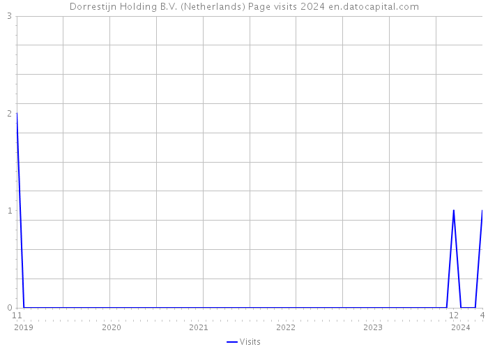 Dorrestijn Holding B.V. (Netherlands) Page visits 2024 