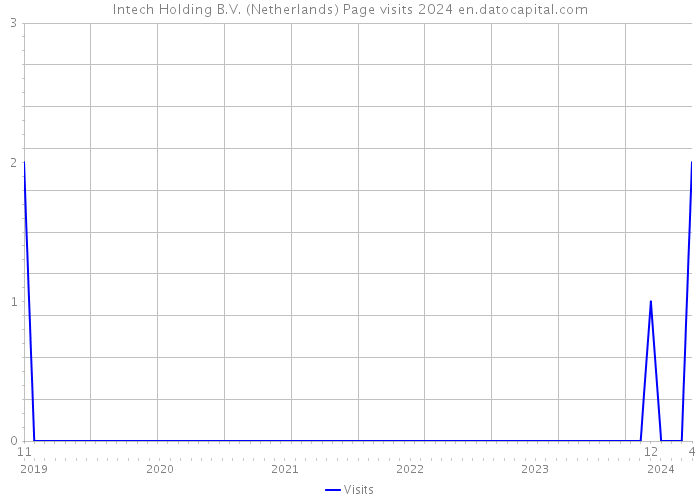 Intech Holding B.V. (Netherlands) Page visits 2024 